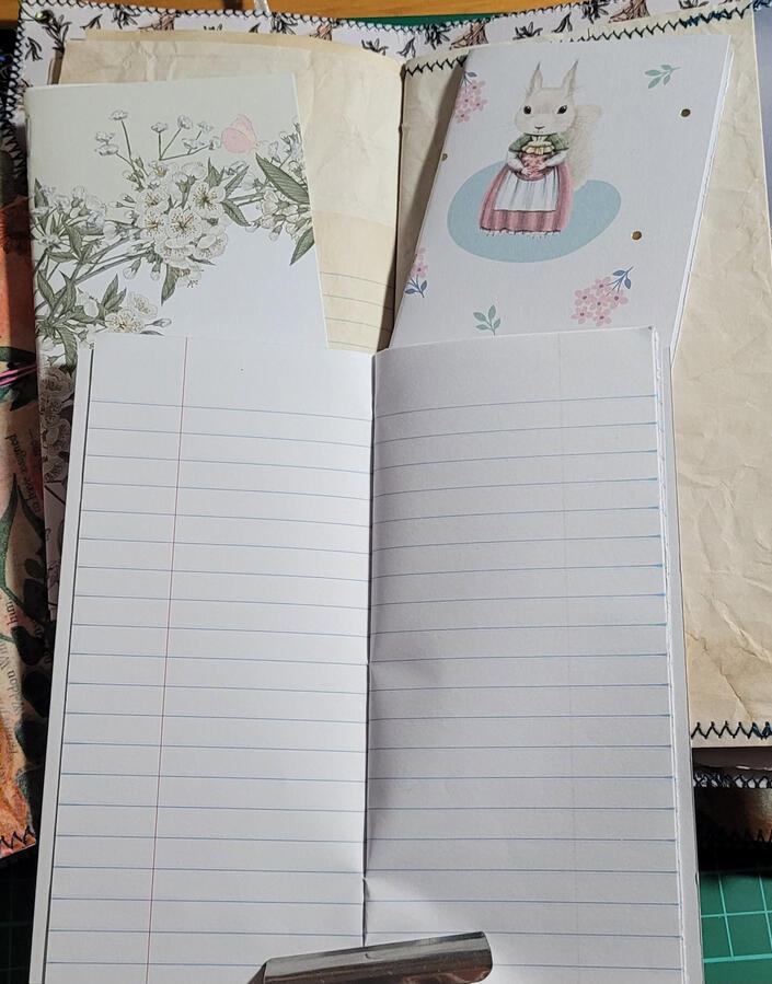 A quick look at some of the mini notebooks that are in each journal. A quick look at some of the mini notebooks that are in each journal.
